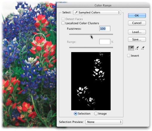 The Color Range command is handy when you need to select an area with lots of details, like the red and blue petals of these flowers. The dialog box’s preview area shows which parts of the image Photoshop will select when you click OK (they’re displayed in white). If you want to save your settings to use again later, click the Save button and give the preset a meaningful name. (In CC, Color Range presets are stored in the same location as the rest of your presets.)As mentioned in the box on page 153, it’s sometimes easier to select what you don’t want in order to get the selection you need. To use the Color Range dialog box to select what you don’t want, turn on its Invert checkbox.