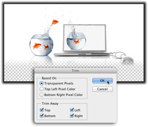 If you have a hard time seeing the edges of an image you want to crop tightly, let Photoshop do it for you by using the Trim command. In this example, the goal is to get rid of the extra transparent space at the bottom so the resulting image is as small as possible. You can do that by choosing Transparent Pixels in the dialog box shown here.The Trim command was used on every screenshot in this book to crop the images as closely as possible. It’s a massive timesaver if you work in production!