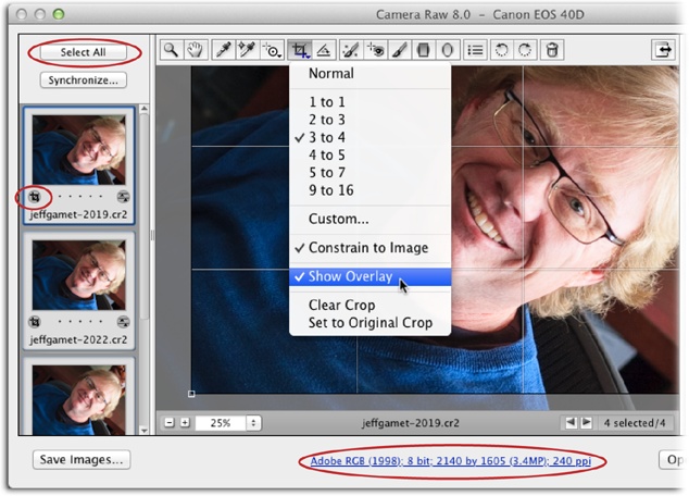 Open one or more images in Camera Raw and then use the Crop tool to whittle ’em down to size. Simply drag across the image to draw a box and then press Return (Enter) to accept the crop. If you’ve opened multiple images (as shown here), you see their thumbnails in the filmstrip on the left side of the Camera Raw window. To crop them all at once, click the Select All button in the upper left (circled, top) and then draw the crop box. You’ll see the crop, along with a tiny Crop tool icon (circled, left), applied to all active thumbnails. The blue, underlined text below the preview window (circled, bottom) changes to reflect the size of the crop box as you draw it.