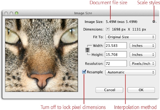 Behold the new Image Size dialog box! Mouse over the image preview and zoom controls appear (not shown); click the – sign to zoom out and the + sign to zoom in. Click and drag within the preview to see another part of your image. And when you resize the dialog box, the preview resizes, too. Nice!This dialog box tells you all kinds of useful info about your image. For example, this image is 1698 pixels wide by 1131 pixels high and has a file size of 5.49 MB. If you were to fire it off to your trusty inkjet printer, the resulting print would be 23.583x15.708 inches with a resolution of 72 ppi. As you’ll learn in the table on page 239, anything printed at that resolution looks blocky—like a bad Xerox that someone keeps enlarging.
