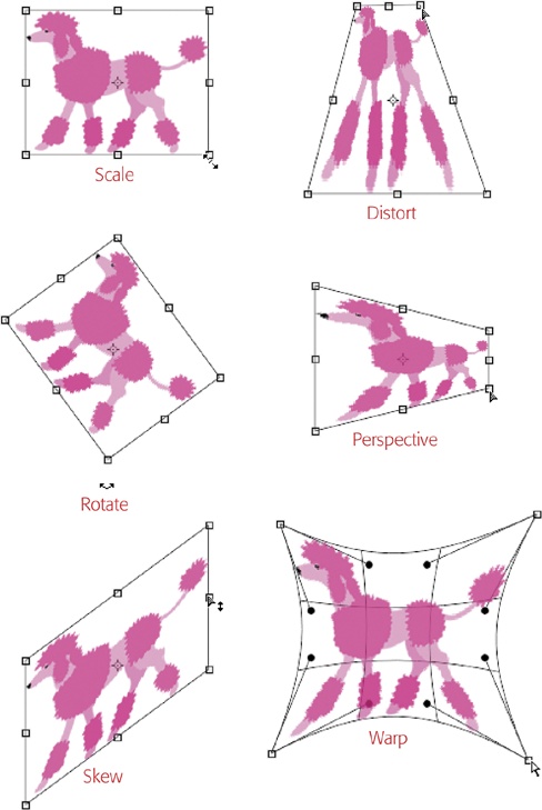 The Transform commands let you scale, rotate, skew, distort, apply perspective, and warp objects in all kinds of interesting ways.You can apply several transformations in a row if you like; just keep choosing different options from the Transform submenu or use the keyboard shortcuts listed in this section. To undo the last change you made without exiting the bounding box, press ⌘-Z (Ctrl+Z).