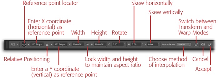 Instead of resizing by dragging handles, you can enter dimensions in the Options bar’s W and H boxes anytime you see a bounding box. You can also pick an interpolation method from the aptly named Interpolation menu.