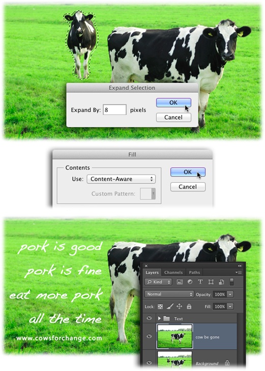 Top: There’s precious little background space between these two cows, so it’s best to create a selection of the cow you want to delete. In order for Photoshop to remove the object completely (instead of leaving a funky outline of what used to be there), you need to include a bit of the background in your selection by using the Expand command.Middle: Once you’ve created a selection and expanded it, you can use the Fill command set to use Content-Aware to replace the selected pixels with those nearby.Bottom: As you can see here, it does an amazing job! And by duplicating the Image layer first, the original remains unchanged.Want to follow along? Then trot on over to this book’s Missing CD page at www.missingmanuals.com/cds and download Cows.jpg.