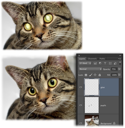 Selecting the blown-out pupils (top), adding some black paint, and topping it off with two flicks of a white brush to add a glint transforms this kitty from creepy to cute in minutes.