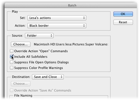 To reap the full reward of using actions, use the Batch dialog box to run them on multiple files (called batches).Turn on the Include All Subfolders checkbox if you want to process files in folders within a master folder. This setting is especially handy if you use nested folders to organize your images.