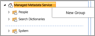 The New Group menu for the Managed Metadata Service.