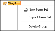 Group menu shows New Term Set, Import Term Set, and Delete Group.