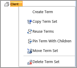 Term Set menu shows Create Term, Copy Term Set, Reuse Terms, Pin Term With Children, Move Term Set, and Delete Term Set.