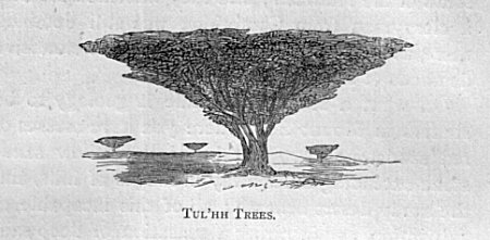 Tul’hh Trees