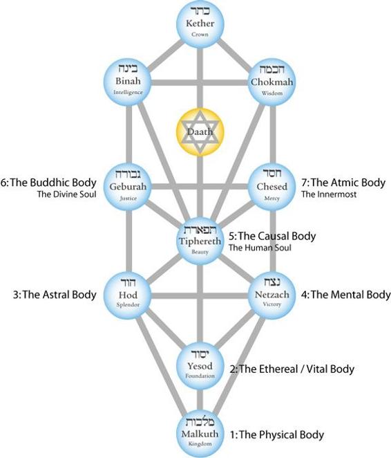 tree-of-life-bodies.jpg