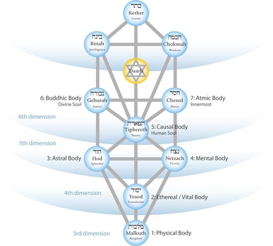 tree-of-life-dimensions.jpg