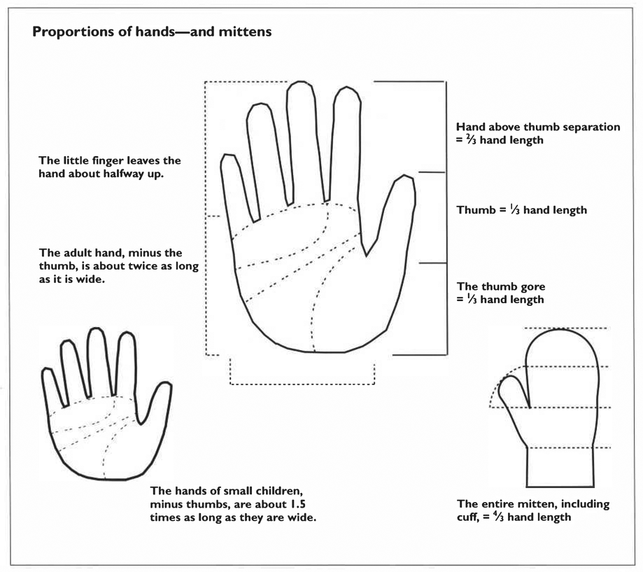 Proportions of hands—and mittens The little finger leaves the hand about halfway up. The adult hand, minus the thumb, is about twice as long as it is wide. Hand above thumb separation = ⅔ hand length Thumb = ⅓ hand length The thumb gore = ⅓ hand length The entire mitten, including cuff, = 4/3 hand length The hands of small children, minus thumbs, are about 1.5 times as long as they are wide