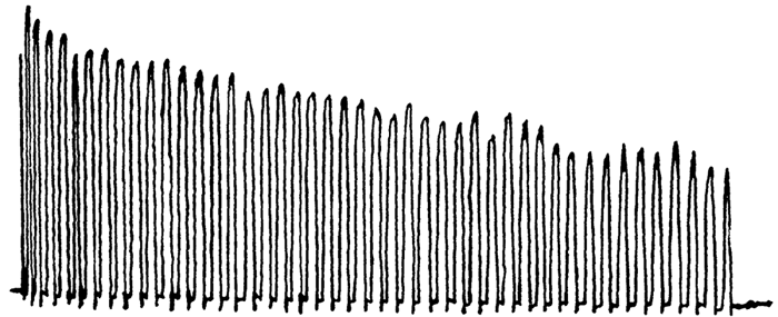 Fig. 1: Ergogram of T.R., a strong, healthy girl, before taking 40 minutes' work in the gymnasium