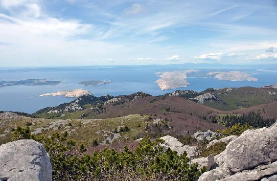 Vom Berg Vučjak herrlicher Blick auf Goli, Prvić, Krk, Rab ...