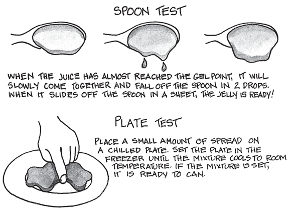 Schematic illustration of Gel testing your food: the spoon test and the plate test.