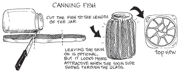 Schematic illustration of placing fish skin-side out in the jar.