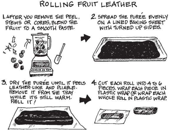 Schematic illustration of preparing and rolling fruit leather.