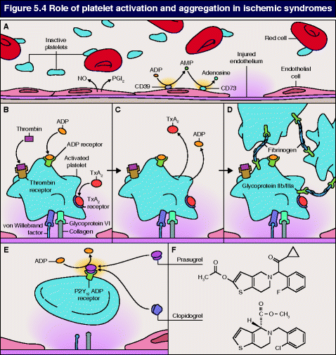 A978-1-84800-358-3_5_Fig4_HTML.gif