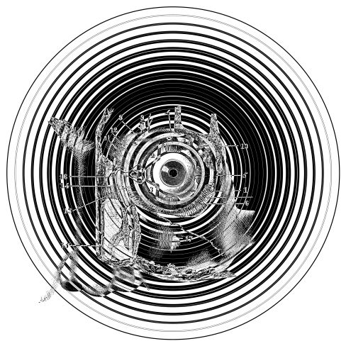 Anatomical diagram showing the eye and the tears ducts