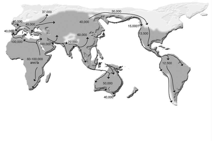 FIG 8.4 Cronologia e traiettorie delle migrazioni di Homo sapiens.