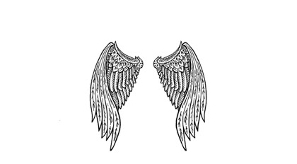 Wings