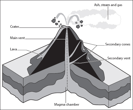 FIGURE C.1. Charles Darwin was intrigued by what went on inside a volcano and proposed the presence of an internal chamber of molten rock with the densest lava located near the bottom and the least dense rising to the top.