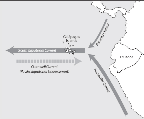 FIGURE C.4. The interplay between oceanic currents has a profound effect upon the Galápagos ecology and climate.