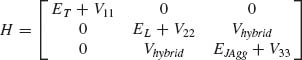 Numbered Display Equation