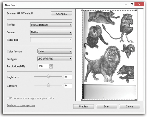 In this box, you have the chance to specify what sort of thing you want to scan — picture? document? — and specify its resolution and color settings.Choose 300 to 600 dots per inch resolution (dpi) for professional scans; for everyday scanning, 150 to 200 dpi is plenty. The more dots, the bigger the resulting file.