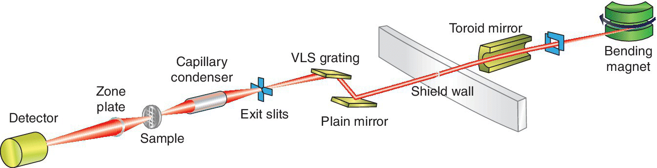 Schematic of a soft x‐ray full‐field transmission x‐ray microscope with parts labeled detector, zone plate, capillary condenser, exit slits, VLS grating, plain mirror, shield wall, toroid mirror, etc.