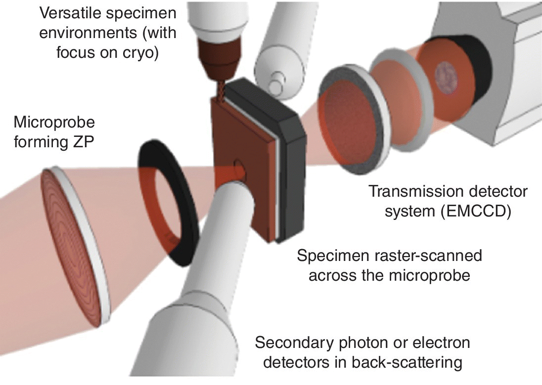 Schematic of the sample area of a scanning x‐ray microscope with parts labeled microprobe forming ZP, transmission detector system (EMCCD), secondary photon or electron detectors in back-scattering, etc.