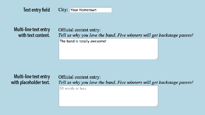 Examples of the text entry control options for web forms.