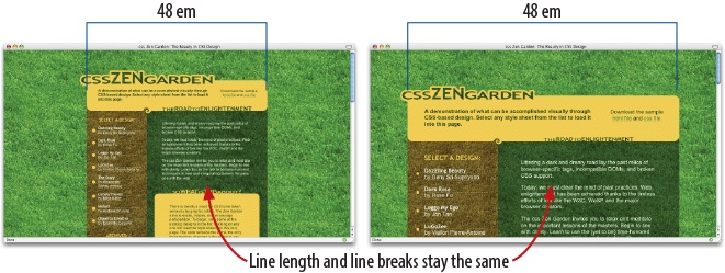 The Elastic Lawn design by Patrick Griffiths at CSS Zen Garden is a classic example of elastic page layout.