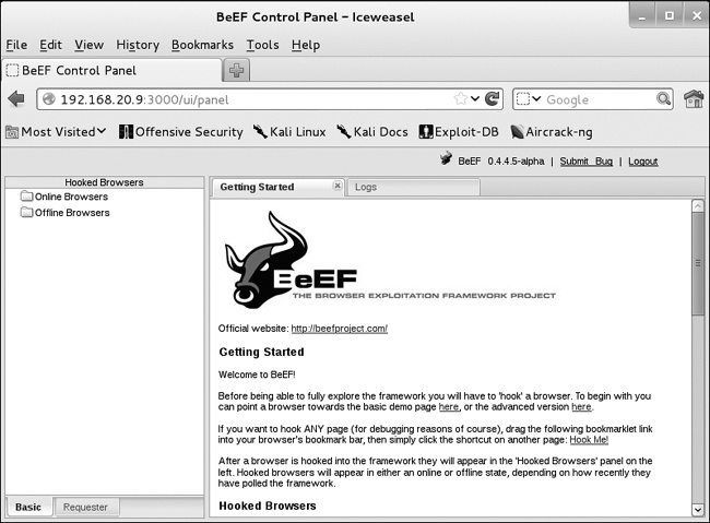 BeEF web interface