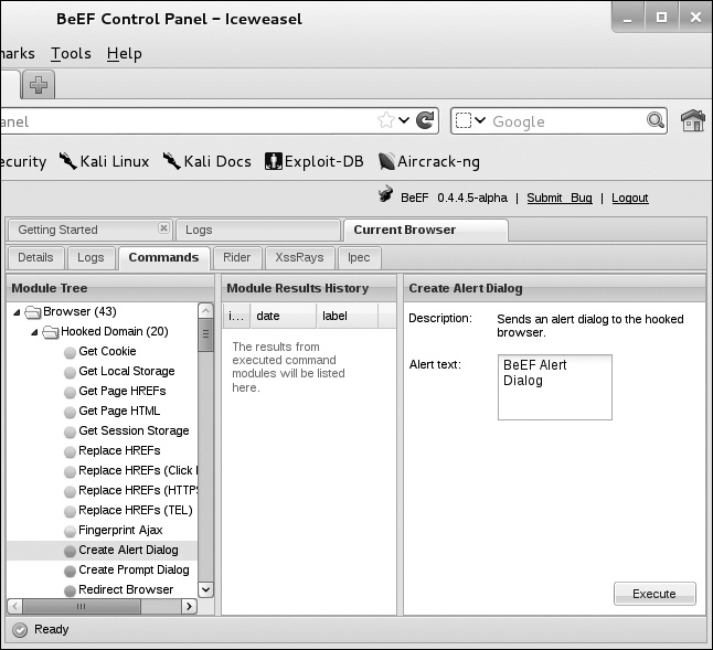 Running a BeEF module