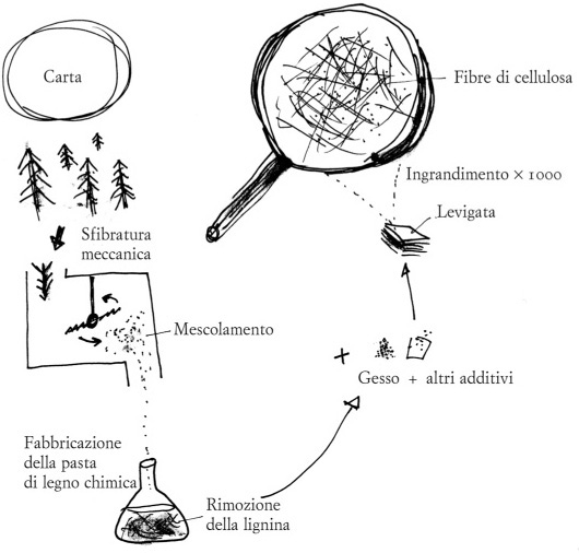 Schema della fabbricazione della carta.