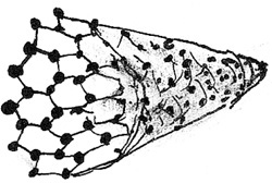 Struttura molecolare dei nanotubi di carbonio.