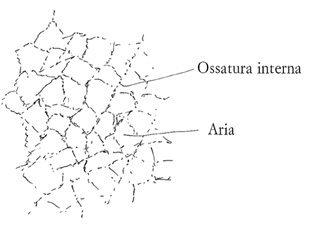 Ossatura interna della gelatina.