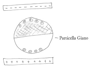 Schema della «carta» elettronica.