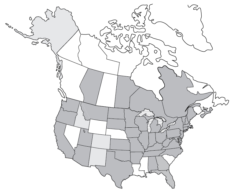 A map of reported cases of anaplasmosis in the United States and Canada