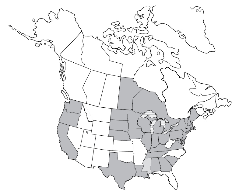 A map of reported cases of babesiosis in the United States and Canada