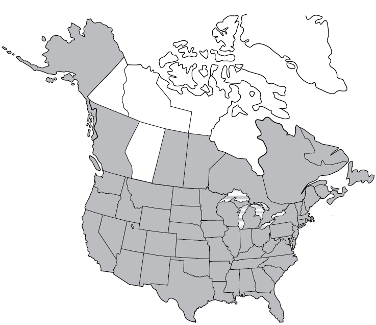 A map of reported cases of Lyme disease covering most of the United States and Canada