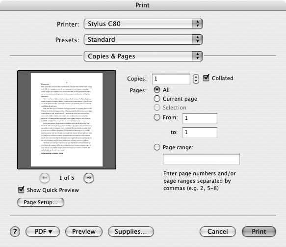 A dialog provides additional options to define how your Macintosh should follow a menu command.