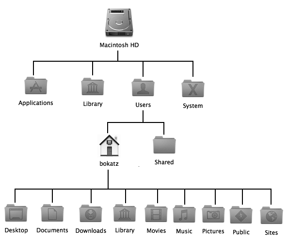 Every Macintosh hard disk is divided into multiple folders.