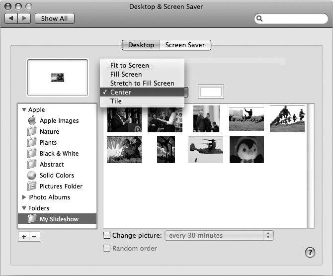 The picture display list box lets you choose how to display your pictures.