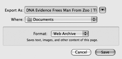 The Save As dialog lets you save a web page in the Page Source or Web Archive format.