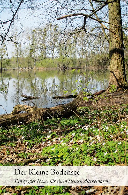 Der Kleine Bodensee