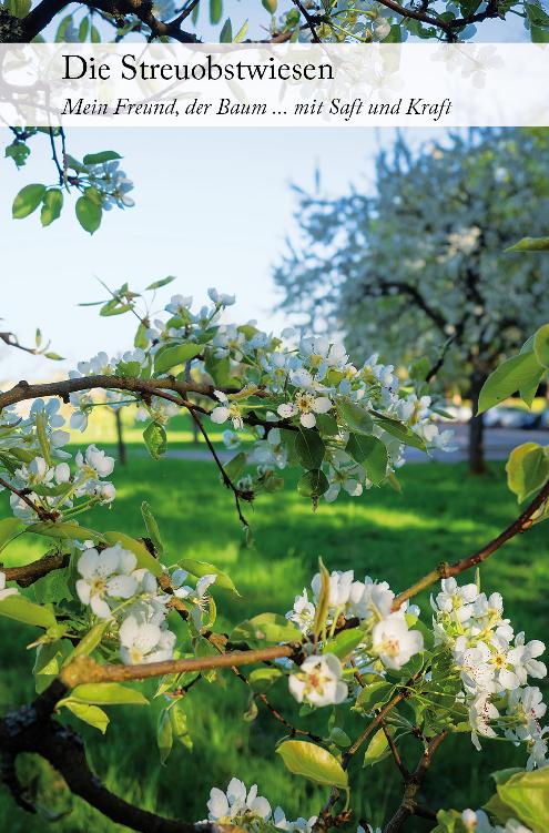 Die Streuobstwiesen