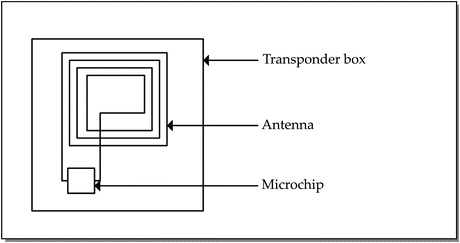 A316374_1_En_9_Fig11_HTML.gif