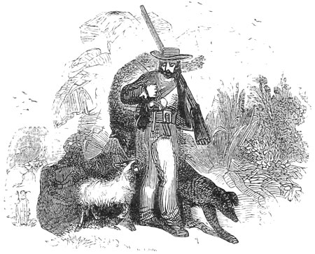 The American Crusoe